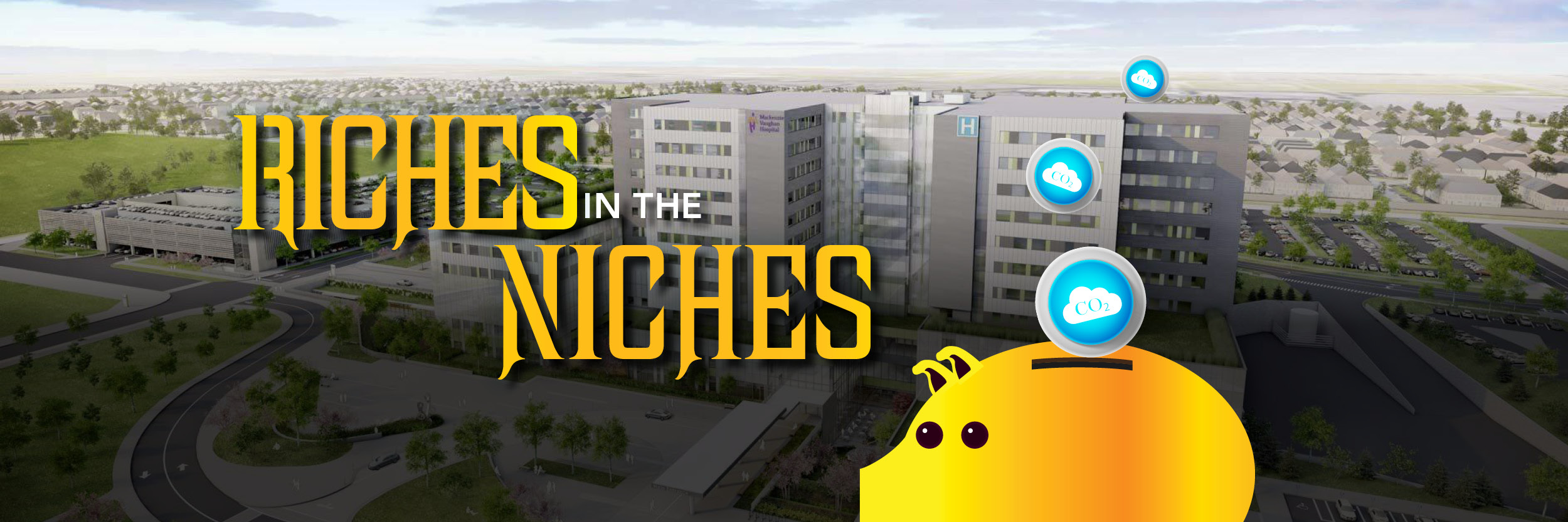 riches-niches-q2-2019