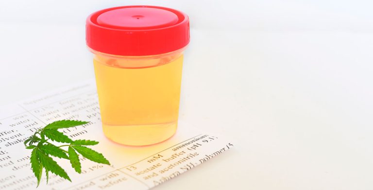 drug test