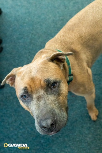 2025-Earlbeck-VisitEarlbeck-4