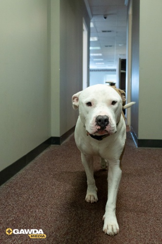 2025-Earlbeck-VisitEarlbeck-5