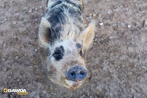 2025-Earlbeck-VisitEarlbeck-51