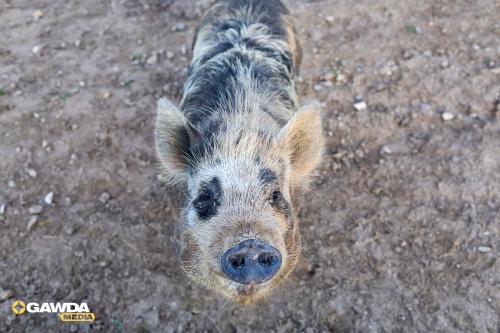 2025-Earlbeck-VisitEarlbeck-52