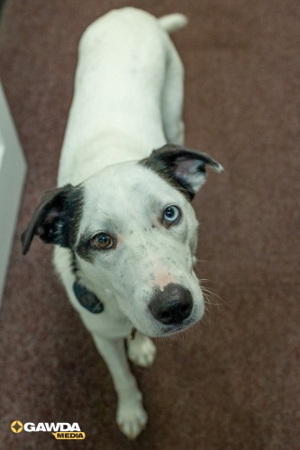 2025-Earlbeck-VisitEarlbeck-6