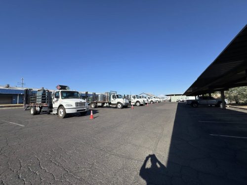 Line of white delivery trucks parked in an industrial lot under a clear blue sky, with orange traffic cones along the pavement.